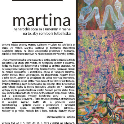 Výstava Martiny Gallíkovej
